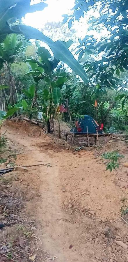 Eastdee Camping Ground Lidlidda Kültér fotó